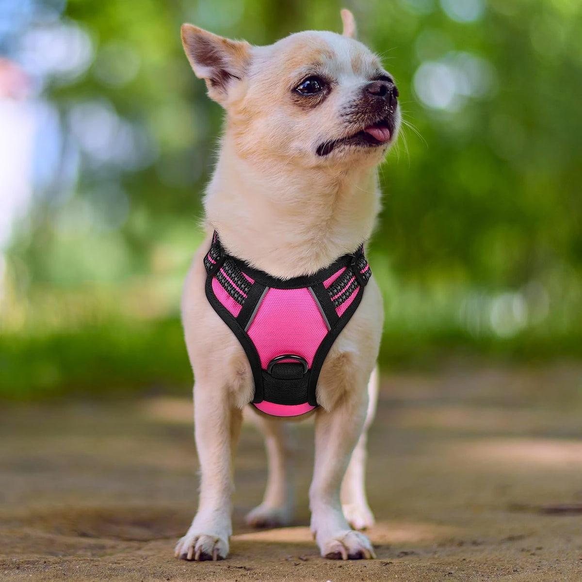 Dog Harness, No Pull for Large Dogs with 2 Leash Clips, Pet Vest | No Choke with Handle, Adjustable Soft Padded, Reflective, Easy Control for Walking, Black, Large