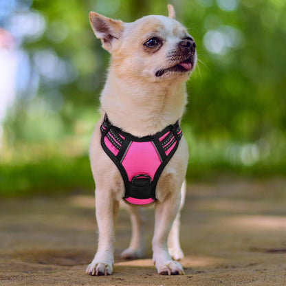 Dog Harness, No Pull for Large Dogs with 2 Leash Clips, Pet Vest | No Choke with Handle, Adjustable Soft Padded, Reflective, Easy Control for Walking, Black, Large