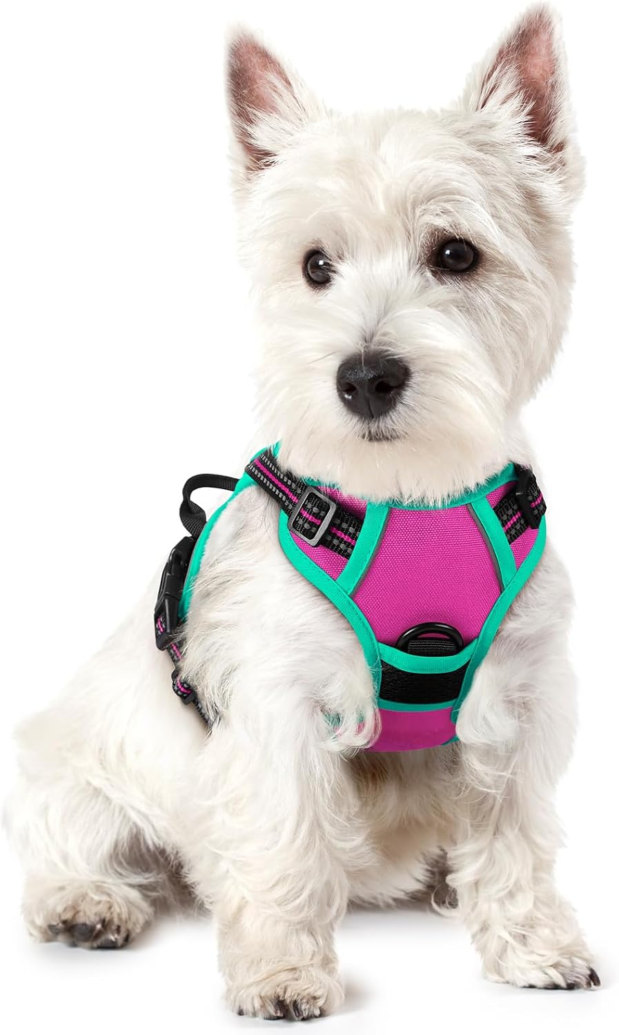Dog Harness, No Pull for Large Dogs with 2 Leash Clips, Pet Vest | No Choke with Handle, Adjustable Soft Padded, Reflective, Easy Control for Walking, Black, Large