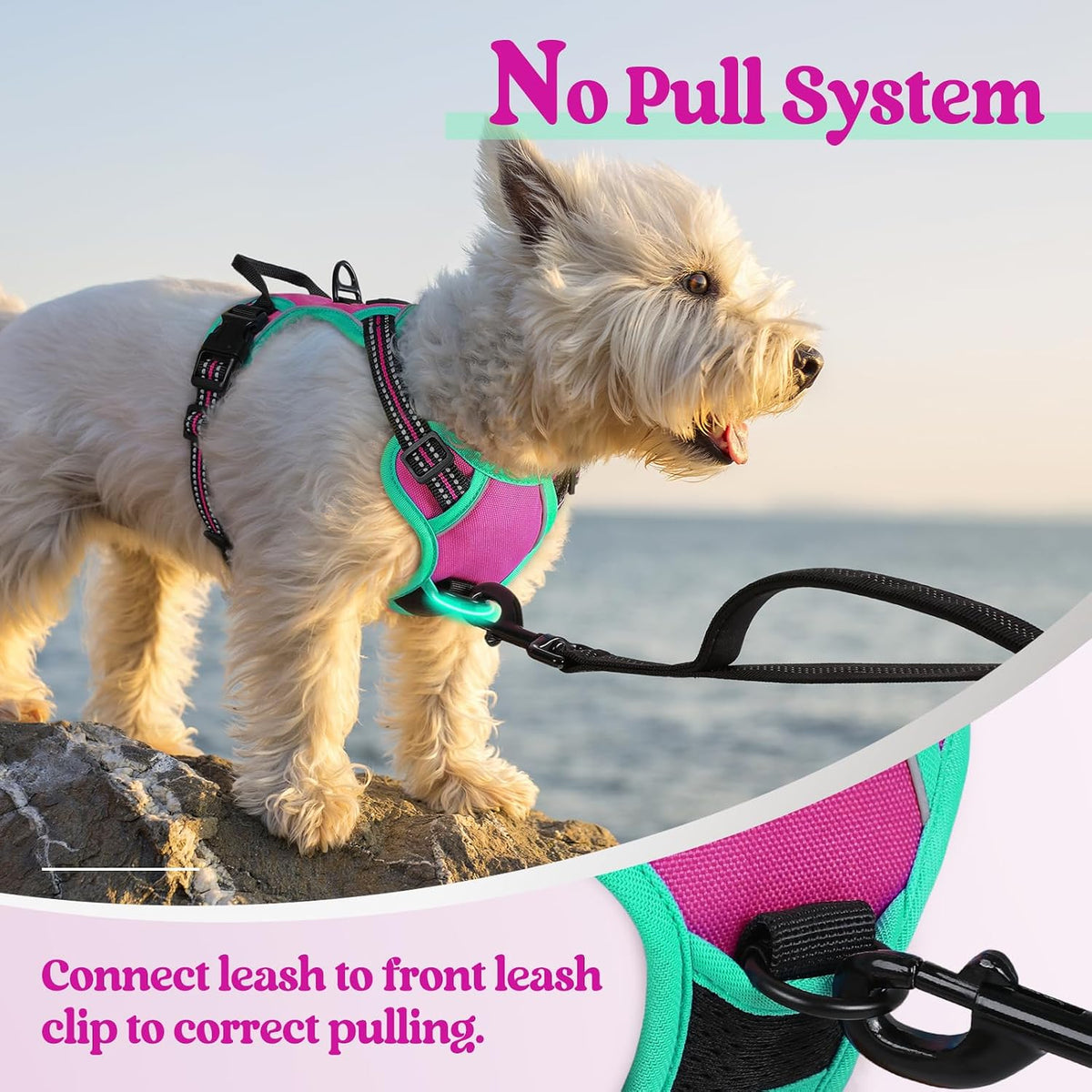 Dog Harness, No Pull for Large Dogs with 2 Leash Clips, Pet Vest | No Choke with Handle, Adjustable Soft Padded, Reflective, Easy Control for Walking, Black, Large