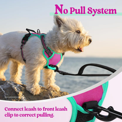 Dog Harness, No Pull for Large Dogs with 2 Leash Clips, Pet Vest | No Choke with Handle, Adjustable Soft Padded, Reflective, Easy Control for Walking, Black, Large