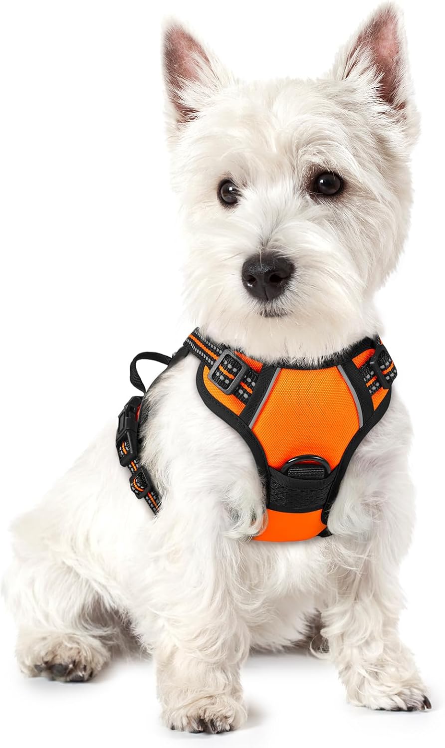 Dog Harness, No Pull for Large Dogs with 2 Leash Clips, Pet Vest | No Choke with Handle, Adjustable Soft Padded, Reflective, Easy Control for Walking, Black, Large