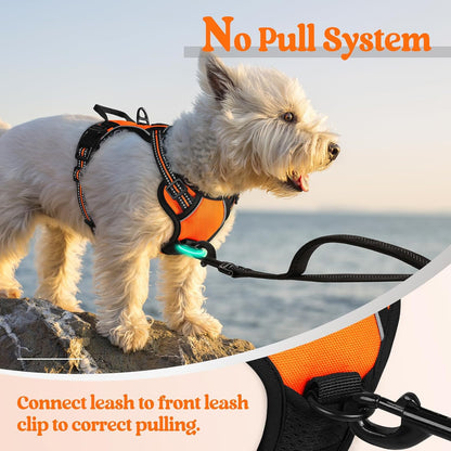 Dog Harness, No Pull for Large Dogs with 2 Leash Clips, Pet Vest | No Choke with Handle, Adjustable Soft Padded, Reflective, Easy Control for Walking, Black, Large
