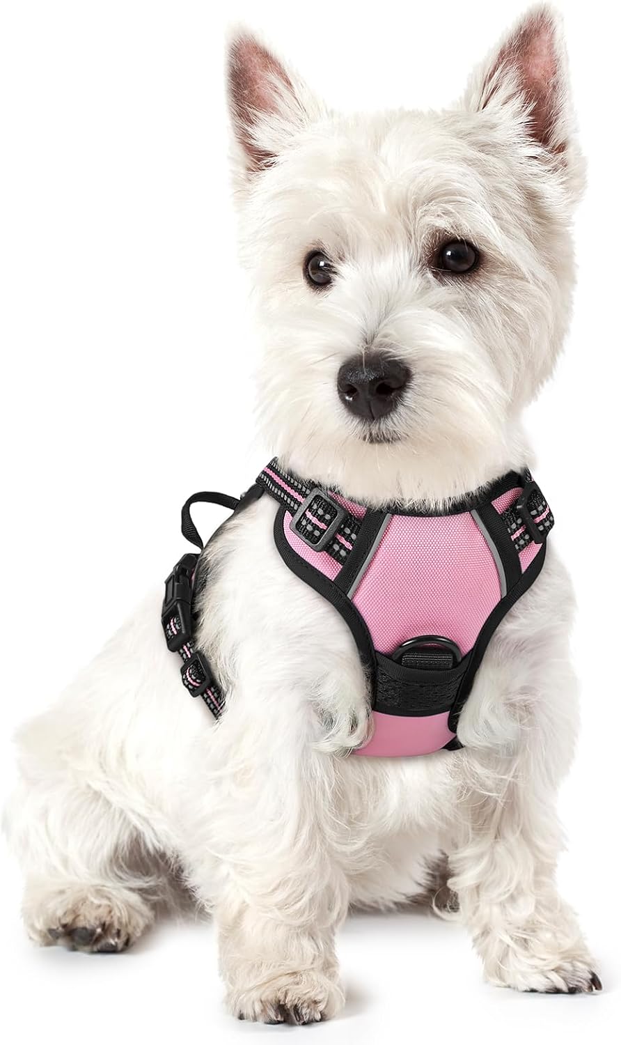 Dog Harness, No Pull for Large Dogs with 2 Leash Clips, Pet Vest | No Choke with Handle, Adjustable Soft Padded, Reflective, Easy Control for Walking, Black, Large