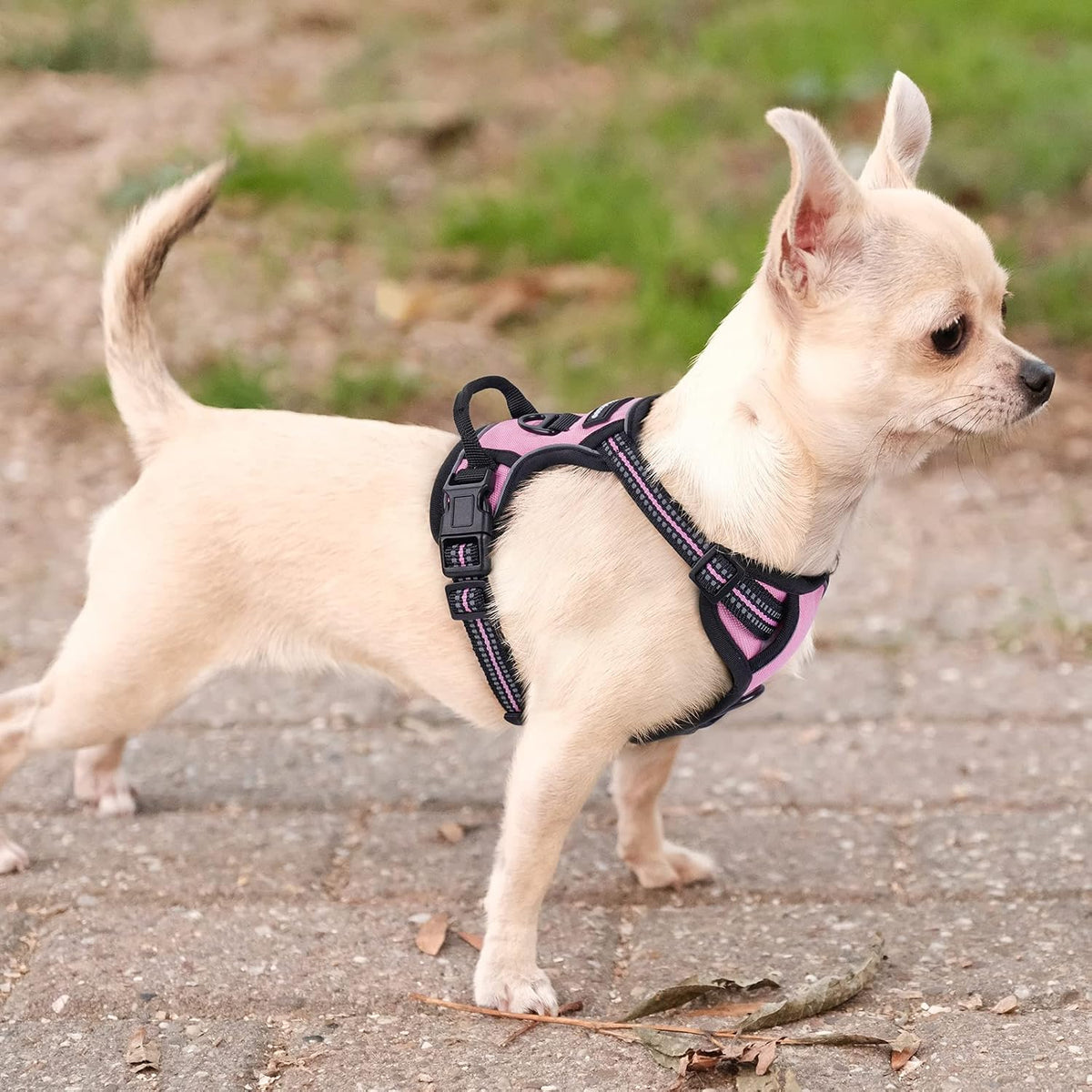 Dog Harness, No Pull for Large Dogs with 2 Leash Clips, Pet Vest | No Choke with Handle, Adjustable Soft Padded, Reflective, Easy Control for Walking, Black, Large