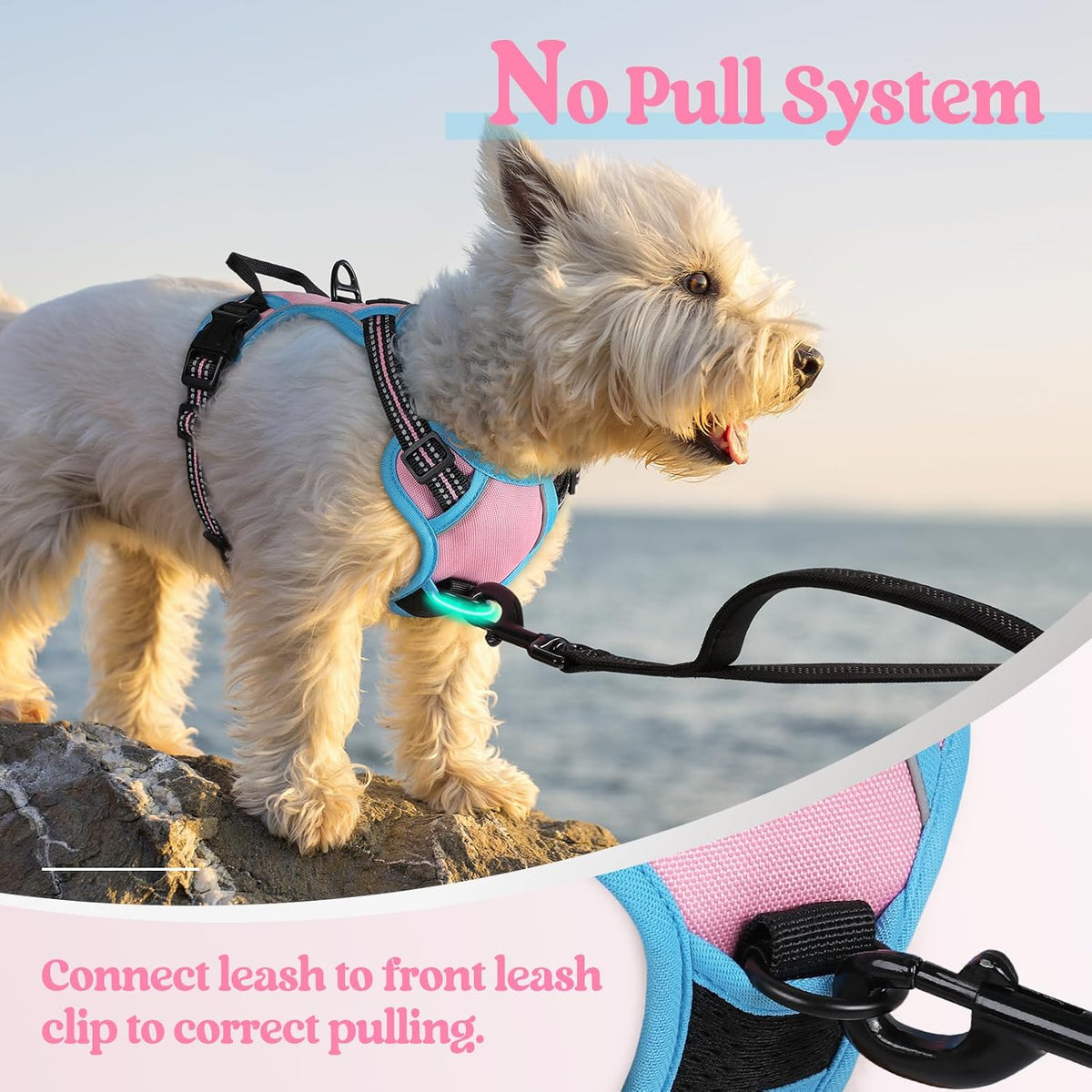 Dog Harness, No Pull for Large Dogs with 2 Leash Clips, Pet Vest | No Choke with Handle, Adjustable Soft Padded, Reflective, Easy Control for Walking, Black, Large