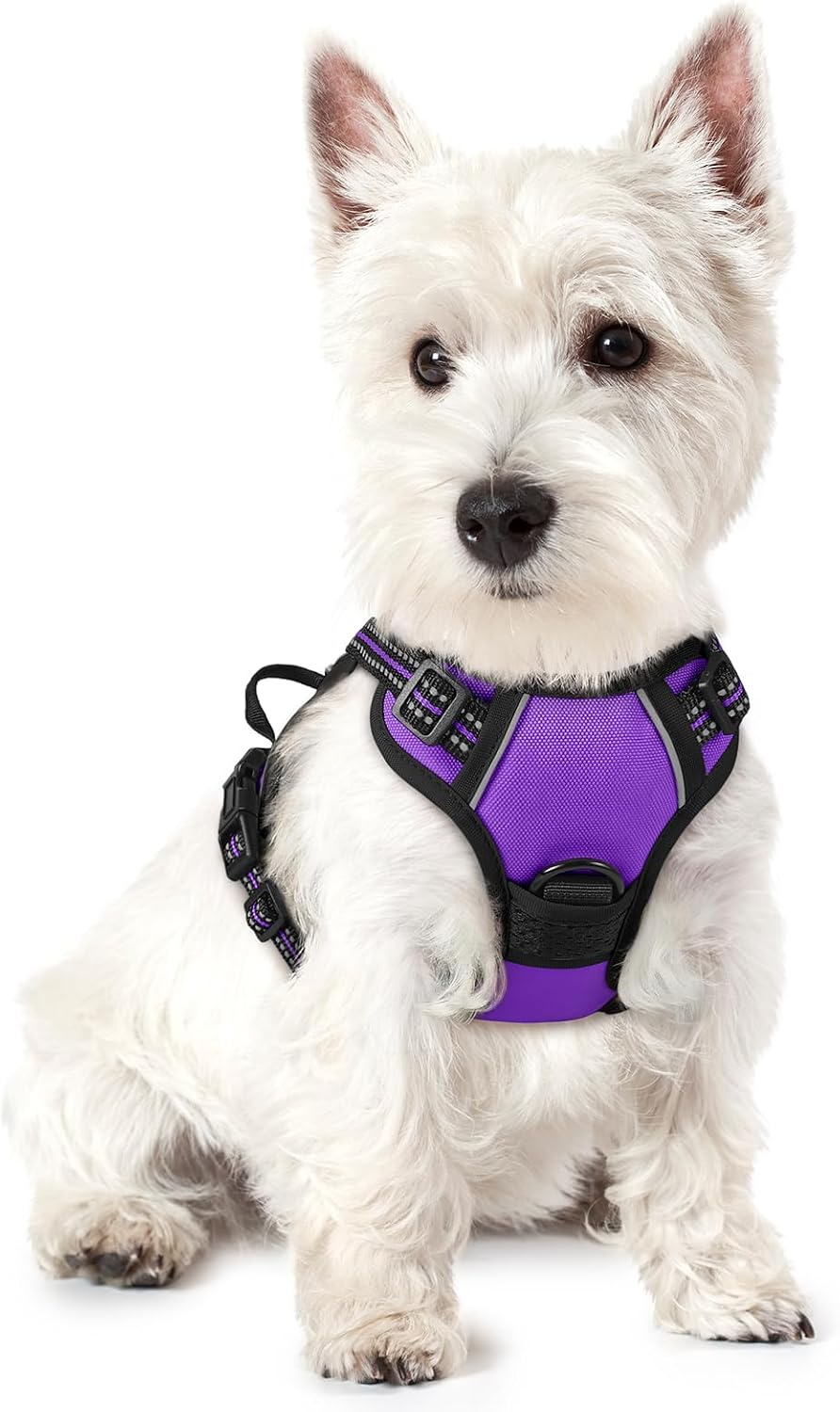 Dog Harness, No Pull for Large Dogs with 2 Leash Clips, Pet Vest | No Choke with Handle, Adjustable Soft Padded, Reflective, Easy Control for Walking, Black, Large