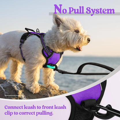 Dog Harness, No Pull for Large Dogs with 2 Leash Clips, Pet Vest | No Choke with Handle, Adjustable Soft Padded, Reflective, Easy Control for Walking, Black, Large