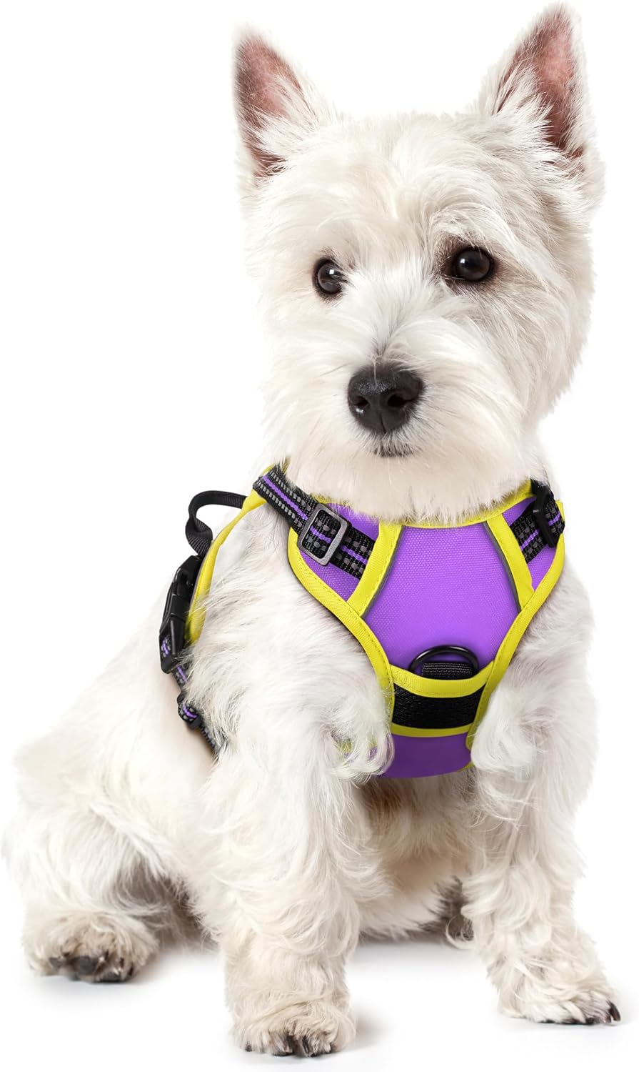 Dog Harness, No Pull for Large Dogs with 2 Leash Clips, Pet Vest | No Choke with Handle, Adjustable Soft Padded, Reflective, Easy Control for Walking, Black, Large