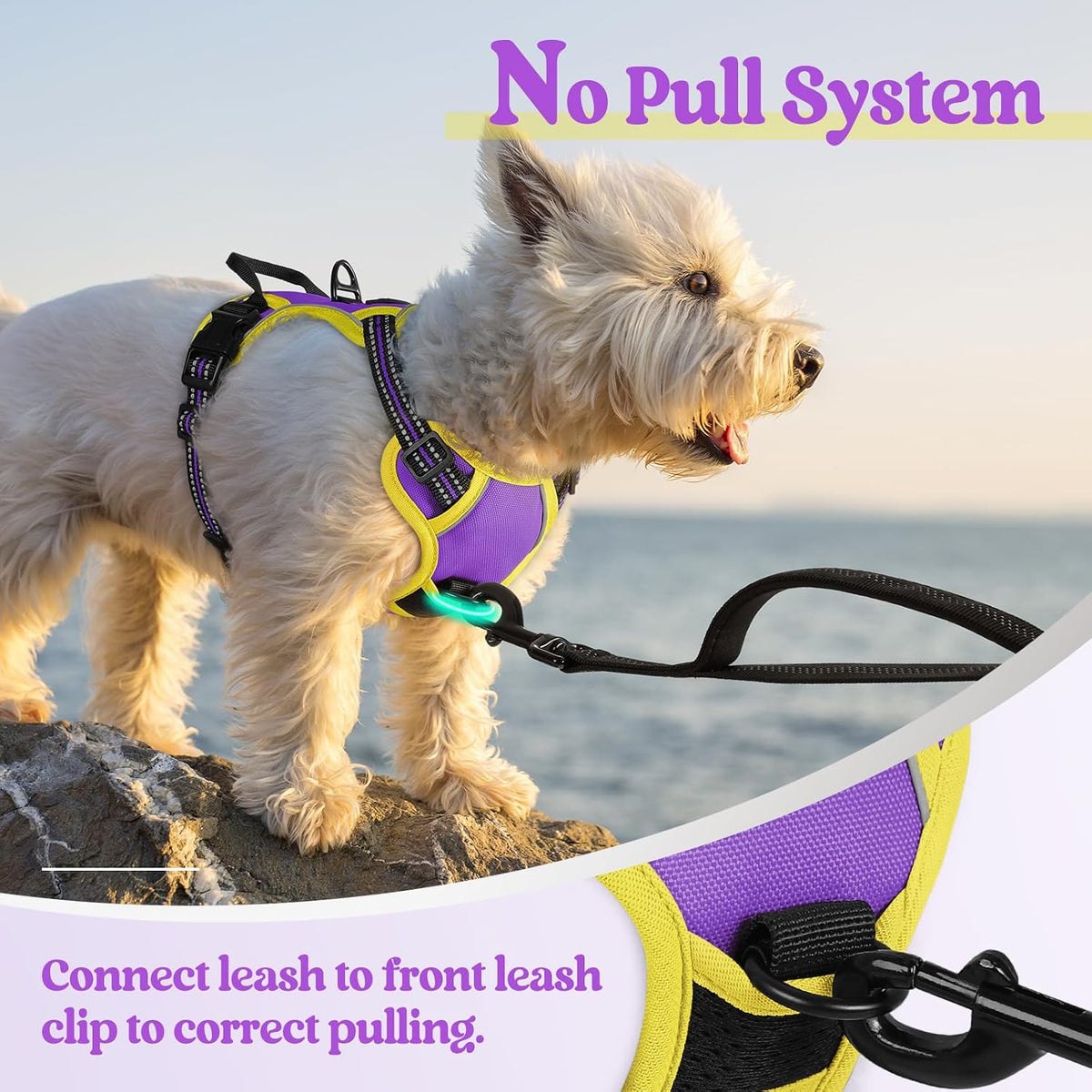 Dog Harness, No Pull for Large Dogs with 2 Leash Clips, Pet Vest | No Choke with Handle, Adjustable Soft Padded, Reflective, Easy Control for Walking, Black, Large
