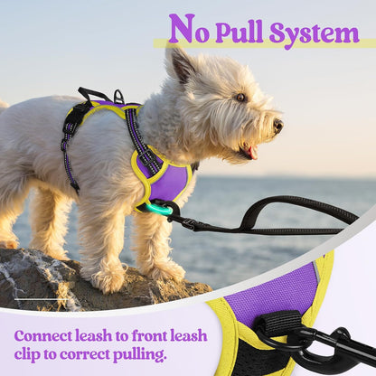 Dog Harness, No Pull for Large Dogs with 2 Leash Clips, Pet Vest | No Choke with Handle, Adjustable Soft Padded, Reflective, Easy Control for Walking, Black, Large