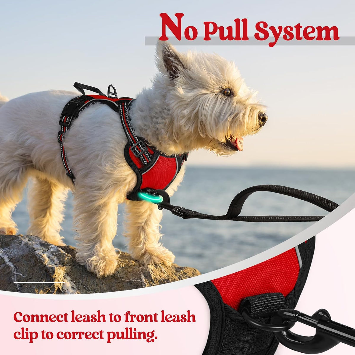 Dog Harness, No Pull for Large Dogs with 2 Leash Clips, Pet Vest | No Choke with Handle, Adjustable Soft Padded, Reflective, Easy Control for Walking, Black, Large