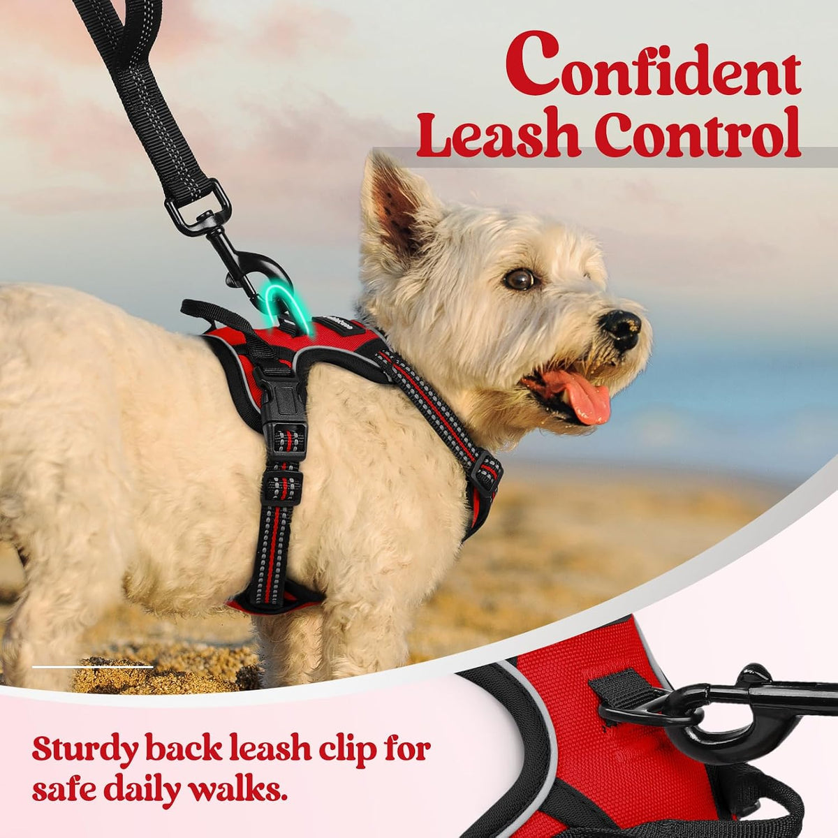 Dog Harness, No Pull for Large Dogs with 2 Leash Clips, Pet Vest | No Choke with Handle, Adjustable Soft Padded, Reflective, Easy Control for Walking, Black, Large