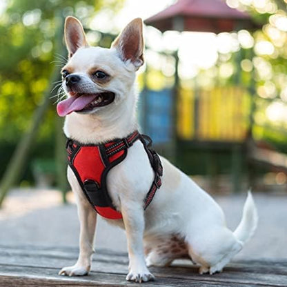 Dog Harness, No Pull for Large Dogs with 2 Leash Clips, Pet Vest | No Choke with Handle, Adjustable Soft Padded, Reflective, Easy Control for Walking, Black, Large