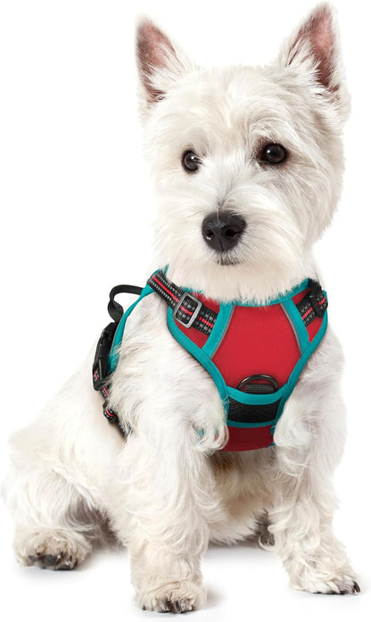 Dog Harness, No Pull for Large Dogs with 2 Leash Clips, Pet Vest | No Choke with Handle, Adjustable Soft Padded, Reflective, Easy Control for Walking, Black, Large