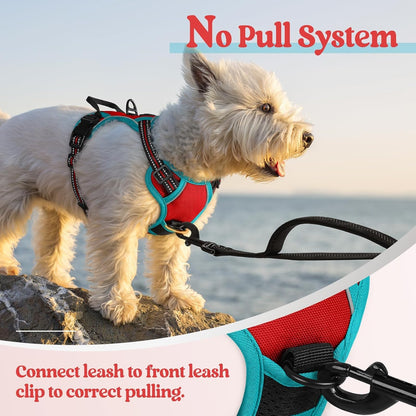 Dog Harness, No Pull for Large Dogs with 2 Leash Clips, Pet Vest | No Choke with Handle, Adjustable Soft Padded, Reflective, Easy Control for Walking, Black, Large
