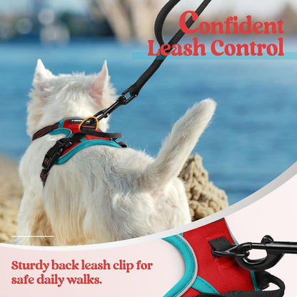 Dog Harness, No Pull for Large Dogs with 2 Leash Clips, Pet Vest | No Choke with Handle, Adjustable Soft Padded, Reflective, Easy Control for Walking, Black, Large