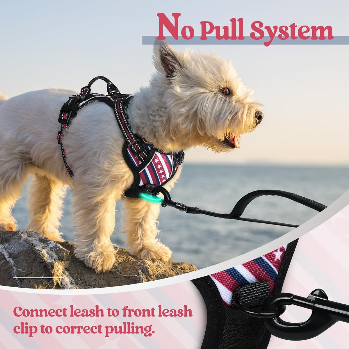 Dog Harness, No Pull for Large Dogs with 2 Leash Clips, Pet Vest | No Choke with Handle, Adjustable Soft Padded, Reflective, Easy Control for Walking, Black, Large