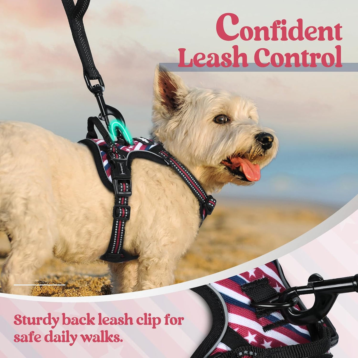 Dog Harness, No Pull for Large Dogs with 2 Leash Clips, Pet Vest | No Choke with Handle, Adjustable Soft Padded, Reflective, Easy Control for Walking, Black, Large