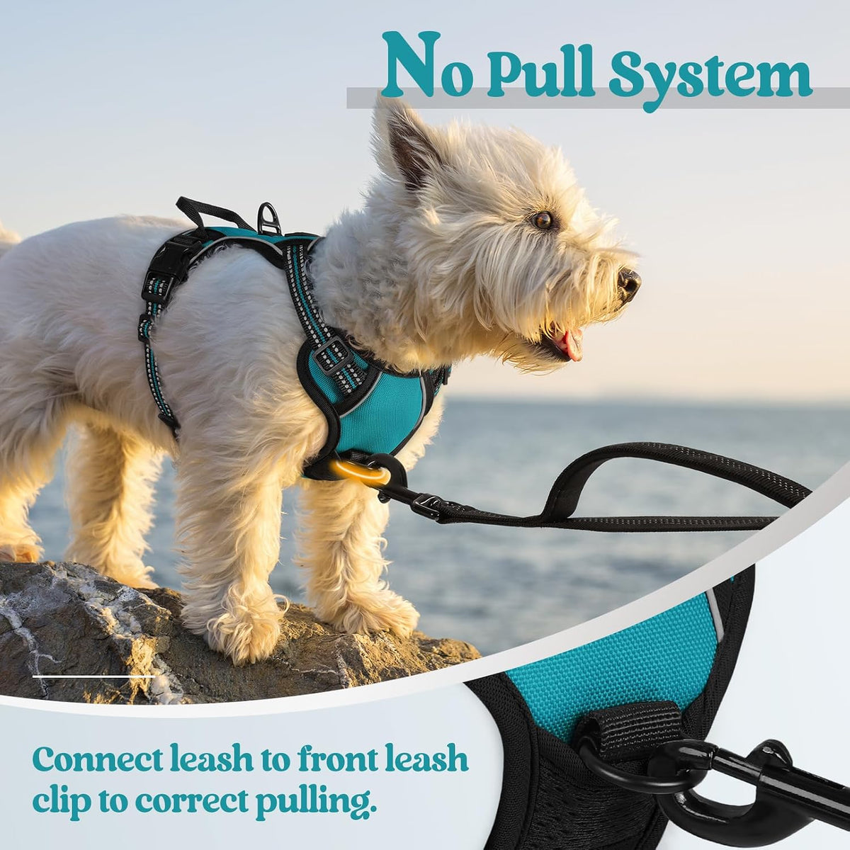 Dog Harness, No Pull for Large Dogs with 2 Leash Clips, Pet Vest | No Choke with Handle, Adjustable Soft Padded, Reflective, Easy Control for Walking, Black, Large