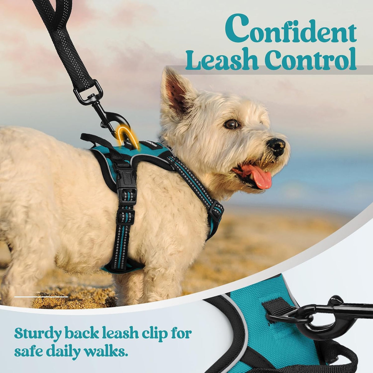 Dog Harness, No Pull for Large Dogs with 2 Leash Clips, Pet Vest | No Choke with Handle, Adjustable Soft Padded, Reflective, Easy Control for Walking, Black, Large