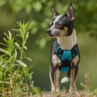 Dog Harness, No Pull for Large Dogs with 2 Leash Clips, Pet Vest | No Choke with Handle, Adjustable Soft Padded, Reflective, Easy Control for Walking, Black, Large