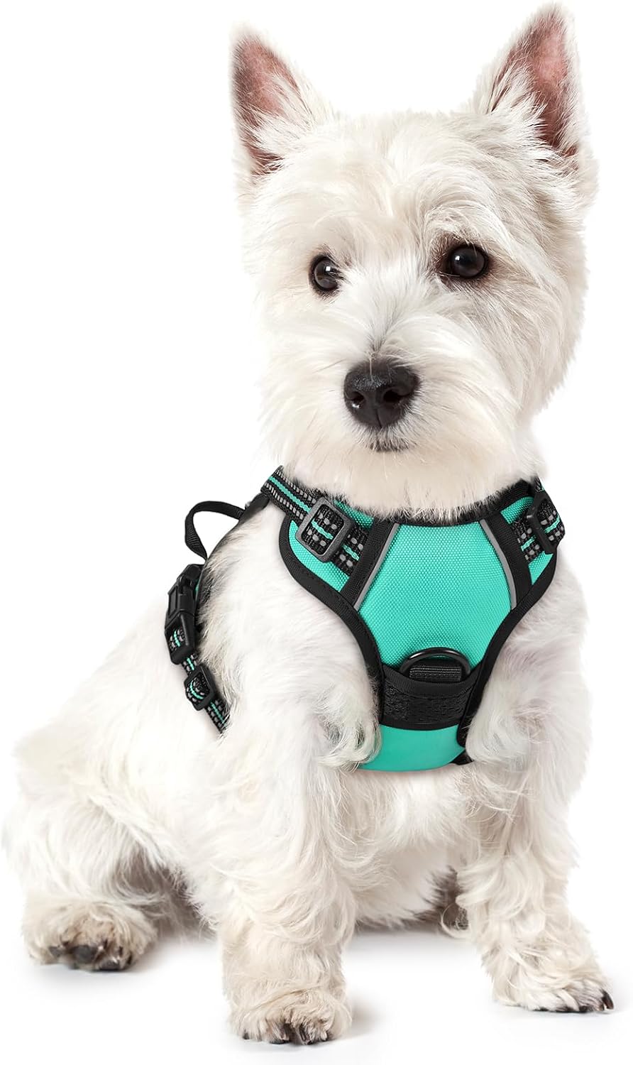 Dog Harness, No Pull for Large Dogs with 2 Leash Clips, Pet Vest | No Choke with Handle, Adjustable Soft Padded, Reflective, Easy Control for Walking, Black, Large