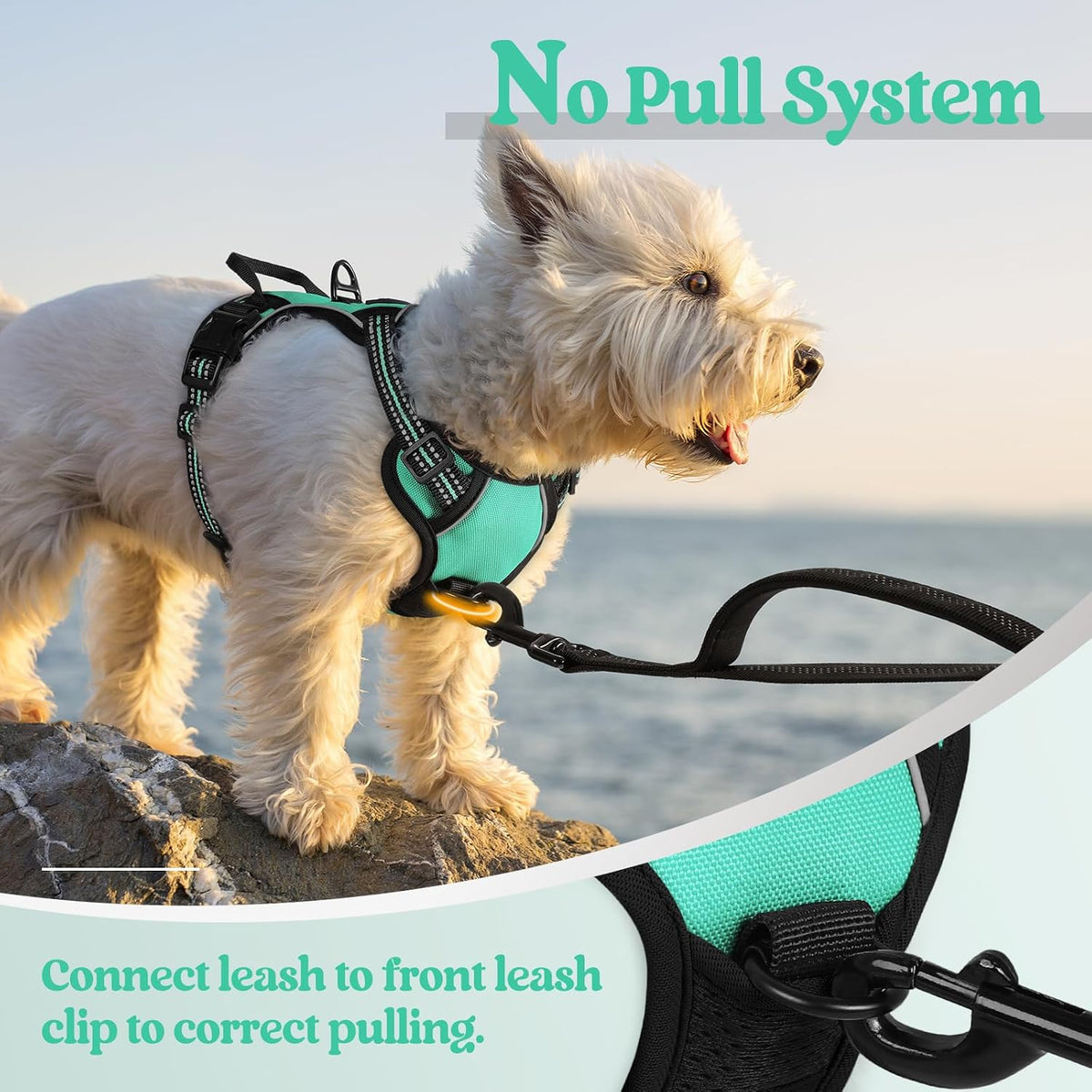 Dog Harness, No Pull for Large Dogs with 2 Leash Clips, Pet Vest | No Choke with Handle, Adjustable Soft Padded, Reflective, Easy Control for Walking, Black, Large