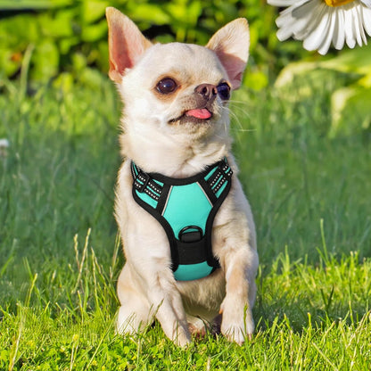 Dog Harness, No Pull for Large Dogs with 2 Leash Clips, Pet Vest | No Choke with Handle, Adjustable Soft Padded, Reflective, Easy Control for Walking, Black, Large