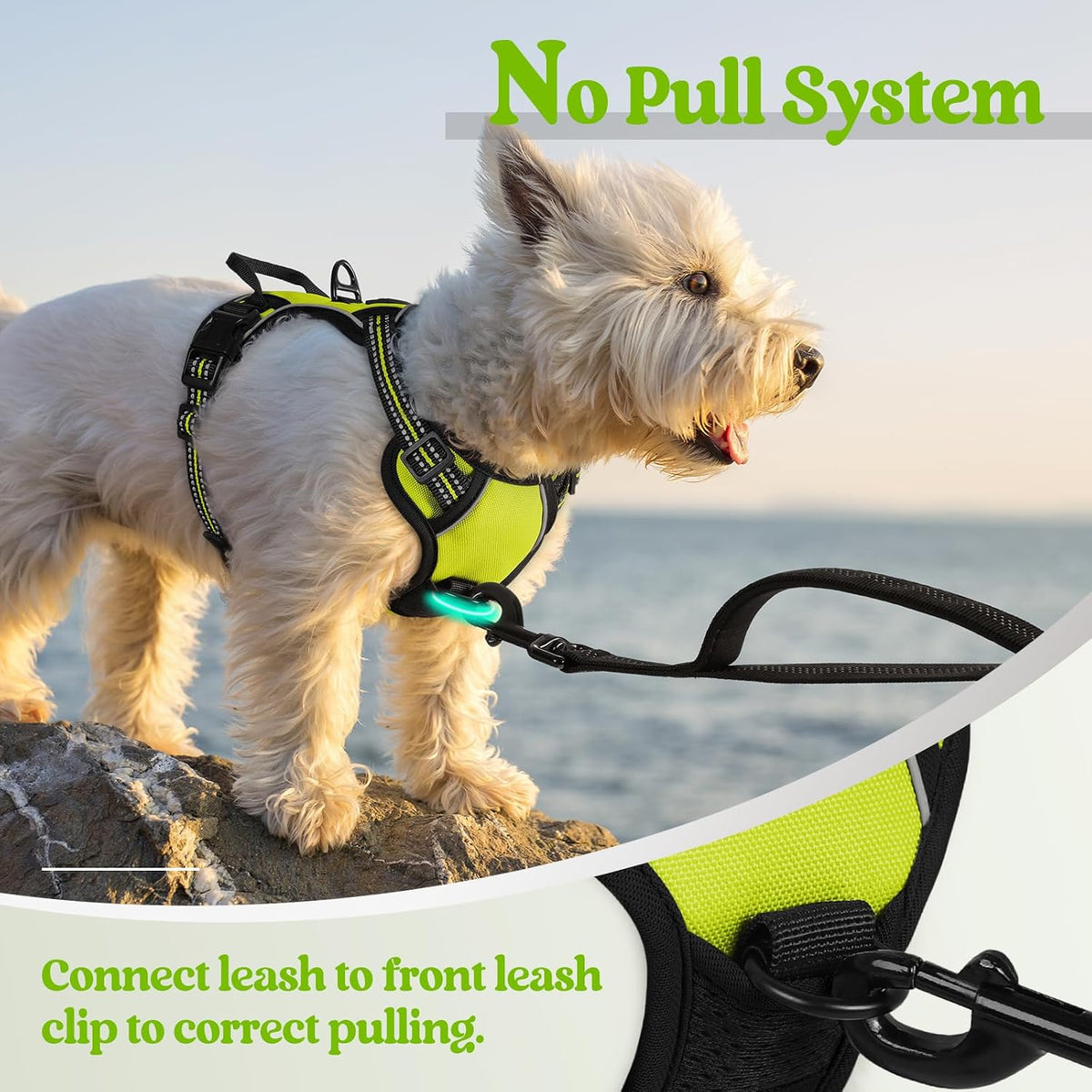 Dog Harness, No Pull for Large Dogs with 2 Leash Clips, Pet Vest | No Choke with Handle, Adjustable Soft Padded, Reflective, Easy Control for Walking, Black, Large