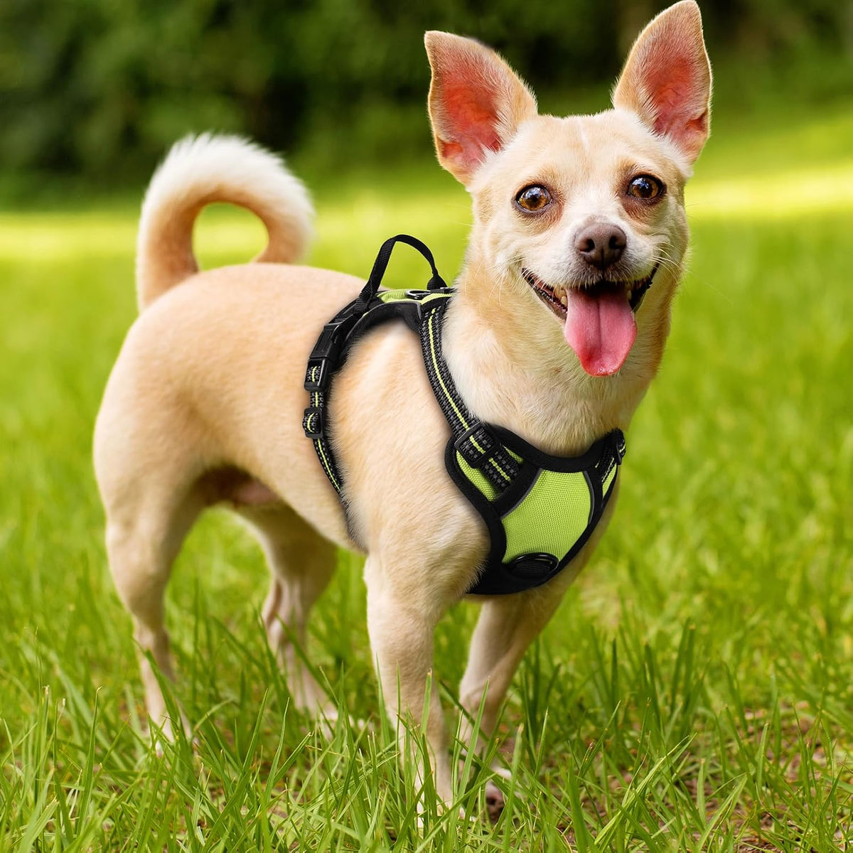 Dog Harness, No Pull for Large Dogs with 2 Leash Clips, Pet Vest | No Choke with Handle, Adjustable Soft Padded, Reflective, Easy Control for Walking, Black, Large