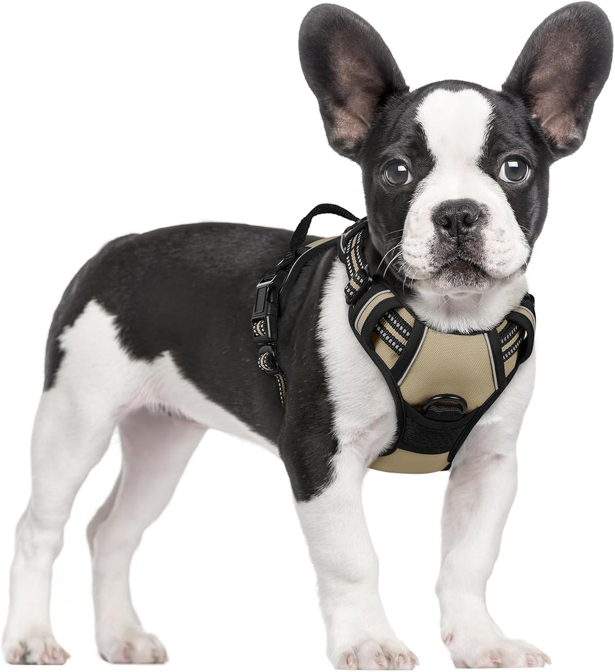 Dog Harness, No Pull for Large Dogs with 2 Leash Clips, Pet Vest | No Choke with Handle, Adjustable Soft Padded, Reflective, Easy Control for Walking, Black, Large