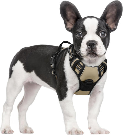 Dog Harness, No Pull for Large Dogs with 2 Leash Clips, Pet Vest | No Choke with Handle, Adjustable Soft Padded, Reflective, Easy Control for Walking, Black, Large