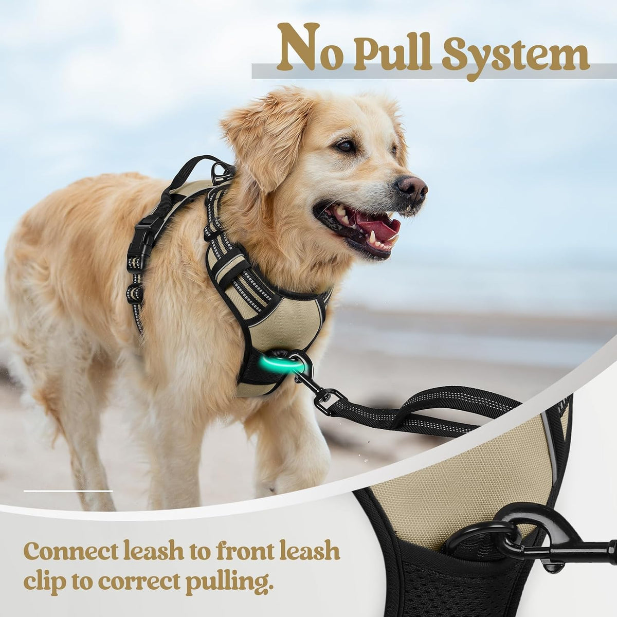 Dog Harness, No Pull for Large Dogs with 2 Leash Clips, Pet Vest | No Choke with Handle, Adjustable Soft Padded, Reflective, Easy Control for Walking, Black, Large