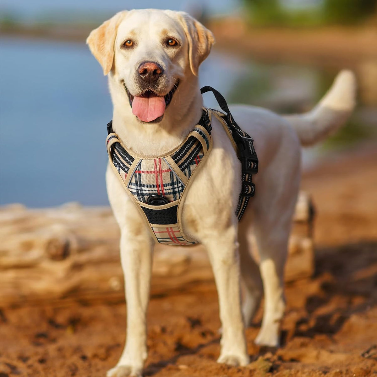 Dog Harness, No Pull for Large Dogs with 2 Leash Clips, Pet Vest | No Choke with Handle, Adjustable Soft Padded, Reflective, Easy Control for Walking, Black, Large