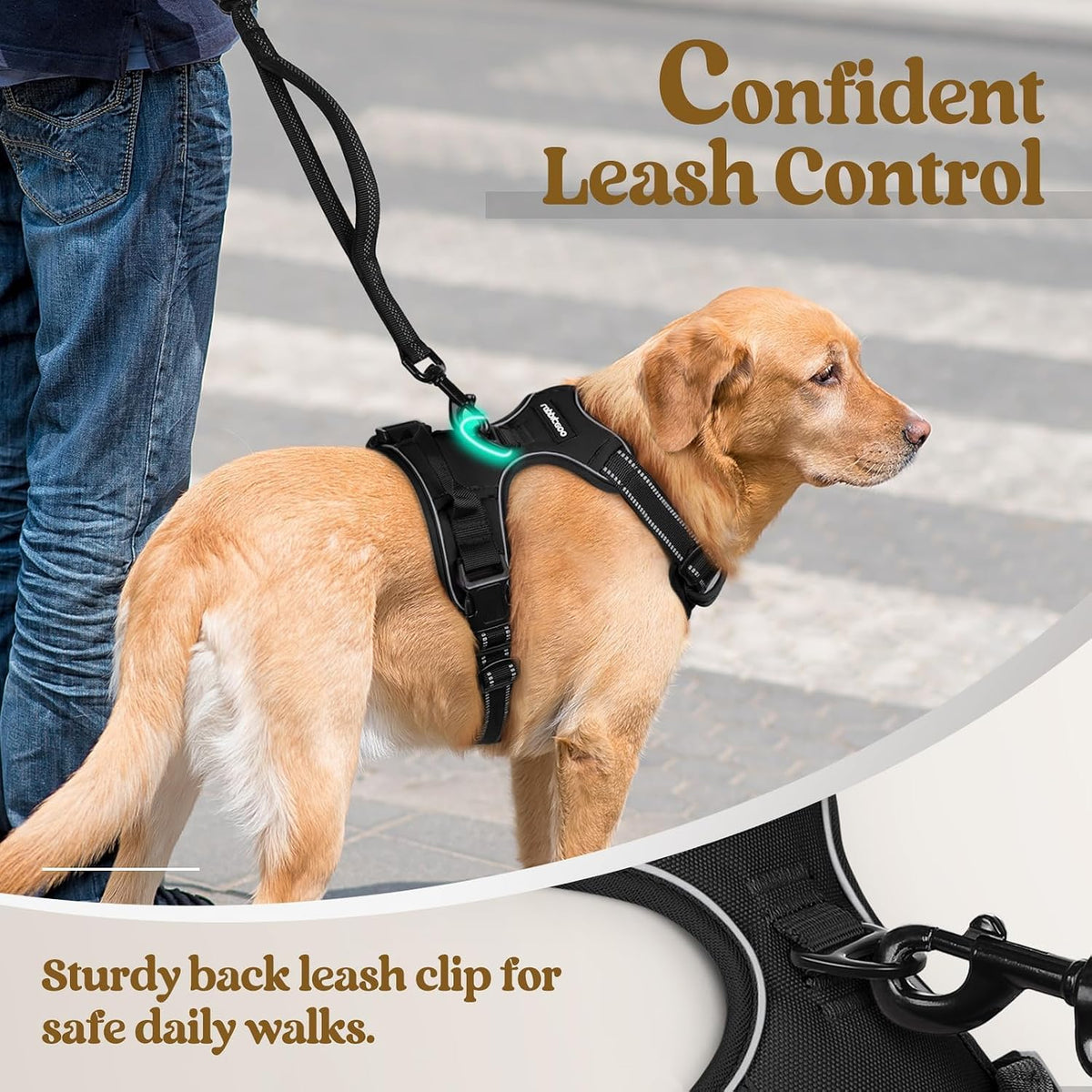 Dog Harness, No Pull for Large Dogs with 2 Leash Clips, Pet Vest | No Choke with Handle, Adjustable Soft Padded, Reflective, Easy Control for Walking, Black, Large