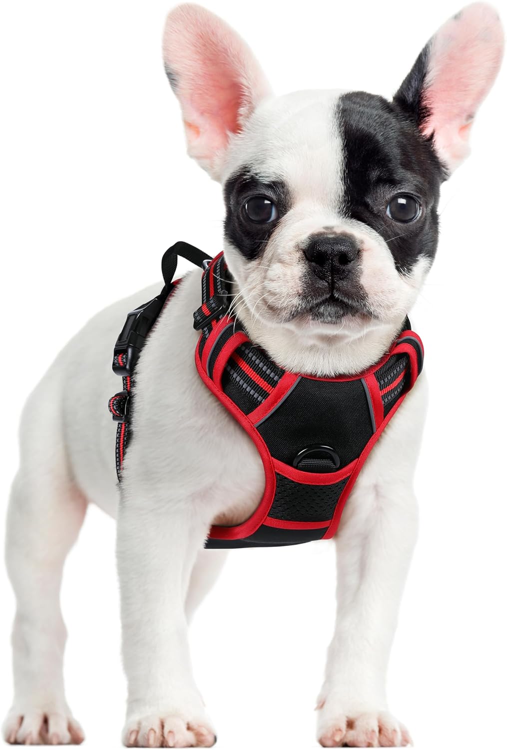 Dog Harness, No Pull for Large Dogs with 2 Leash Clips, Pet Vest | No Choke with Handle, Adjustable Soft Padded, Reflective, Easy Control for Walking, Black, Large