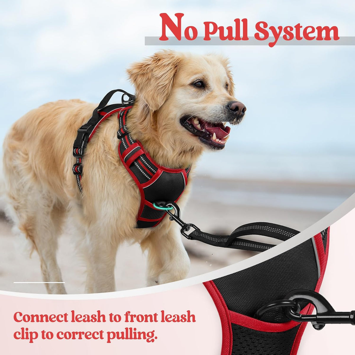 Dog Harness, No Pull for Large Dogs with 2 Leash Clips, Pet Vest | No Choke with Handle, Adjustable Soft Padded, Reflective, Easy Control for Walking, Black, Large