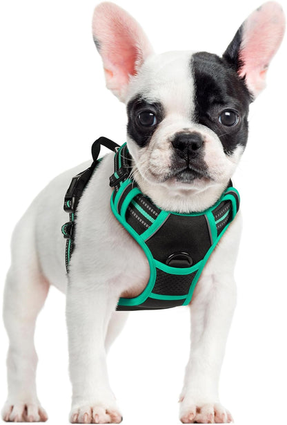 Dog Harness, No Pull for Large Dogs with 2 Leash Clips, Pet Vest | No Choke with Handle, Adjustable Soft Padded, Reflective, Easy Control for Walking, Black, Large