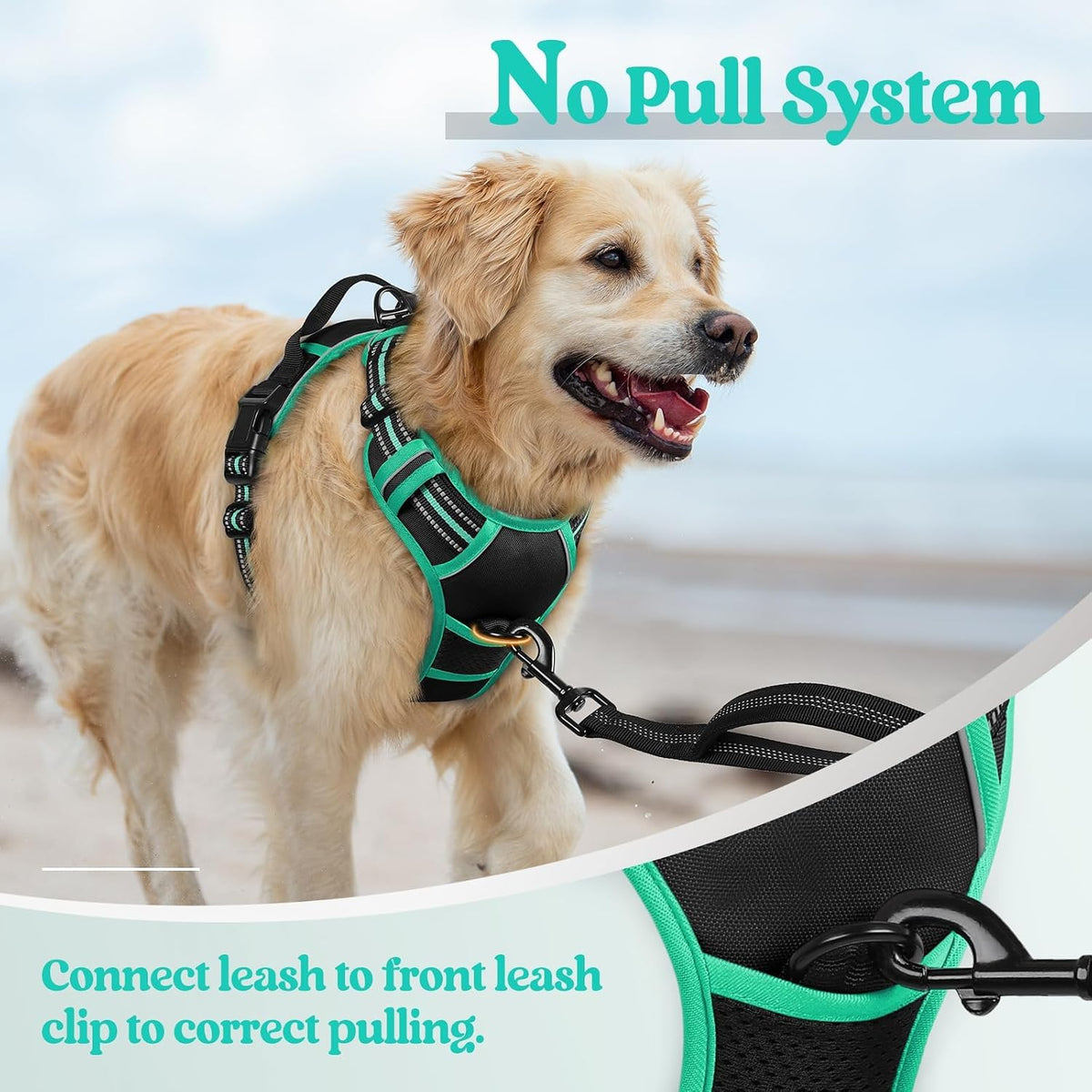 Dog Harness, No Pull for Large Dogs with 2 Leash Clips, Pet Vest | No Choke with Handle, Adjustable Soft Padded, Reflective, Easy Control for Walking, Black, Large