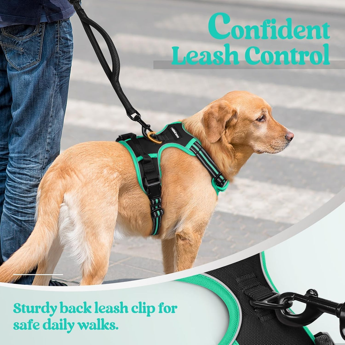 Dog Harness, No Pull for Large Dogs with 2 Leash Clips, Pet Vest | No Choke with Handle, Adjustable Soft Padded, Reflective, Easy Control for Walking, Black, Large