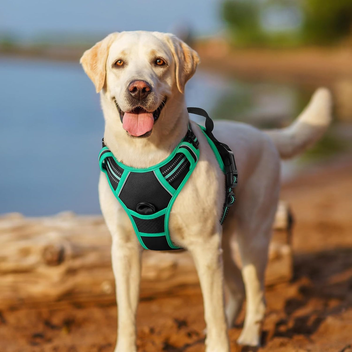 Dog Harness, No Pull for Large Dogs with 2 Leash Clips, Pet Vest | No Choke with Handle, Adjustable Soft Padded, Reflective, Easy Control for Walking, Black, Large