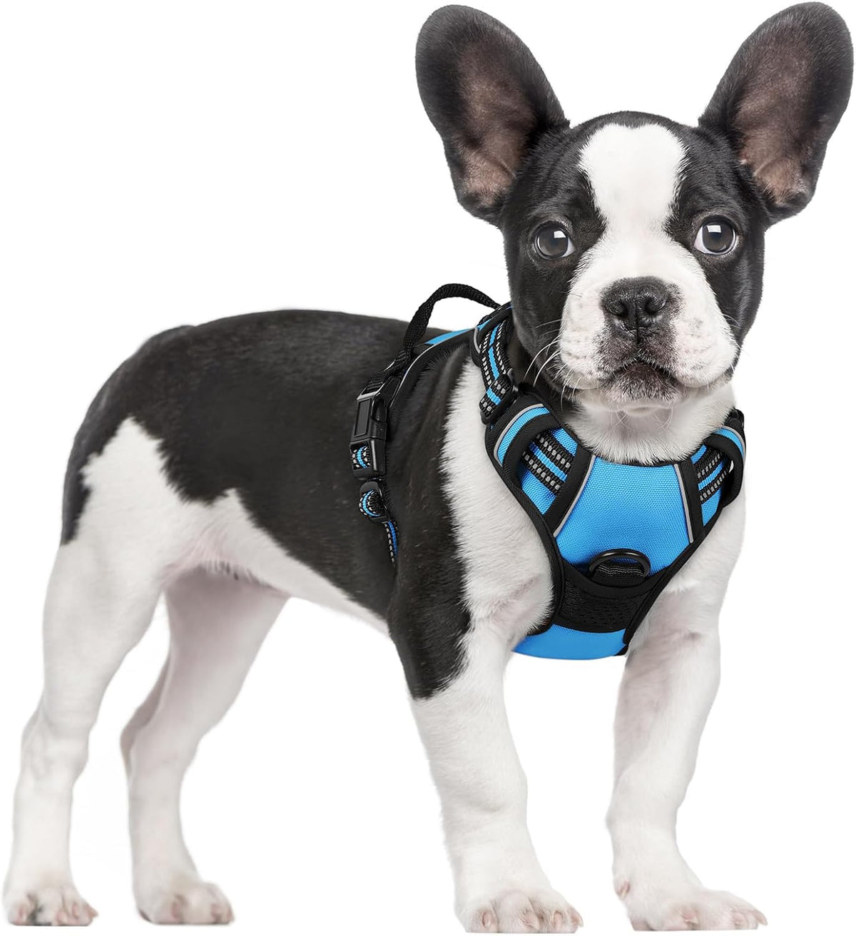 Dog Harness, No Pull for Large Dogs with 2 Leash Clips, Pet Vest | No Choke with Handle, Adjustable Soft Padded, Reflective, Easy Control for Walking, Black, Large