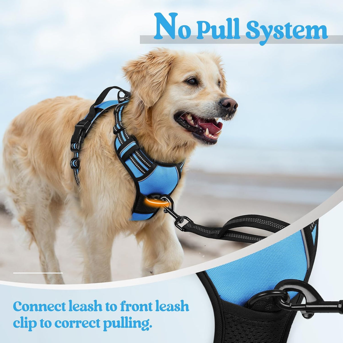 Dog Harness, No Pull for Large Dogs with 2 Leash Clips, Pet Vest | No Choke with Handle, Adjustable Soft Padded, Reflective, Easy Control for Walking, Black, Large