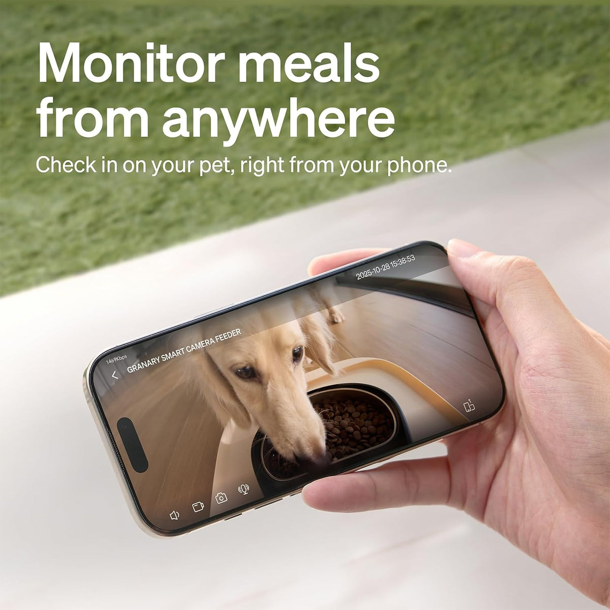 Automatic Cat Feeder – 3L Programmable Pet Food Dispenser with Airtight Storage, Timed Portion Control, Voice Meal Call & Dual Power Supply, Clog-Free Healthy Feeding for Cats & Small Dogs