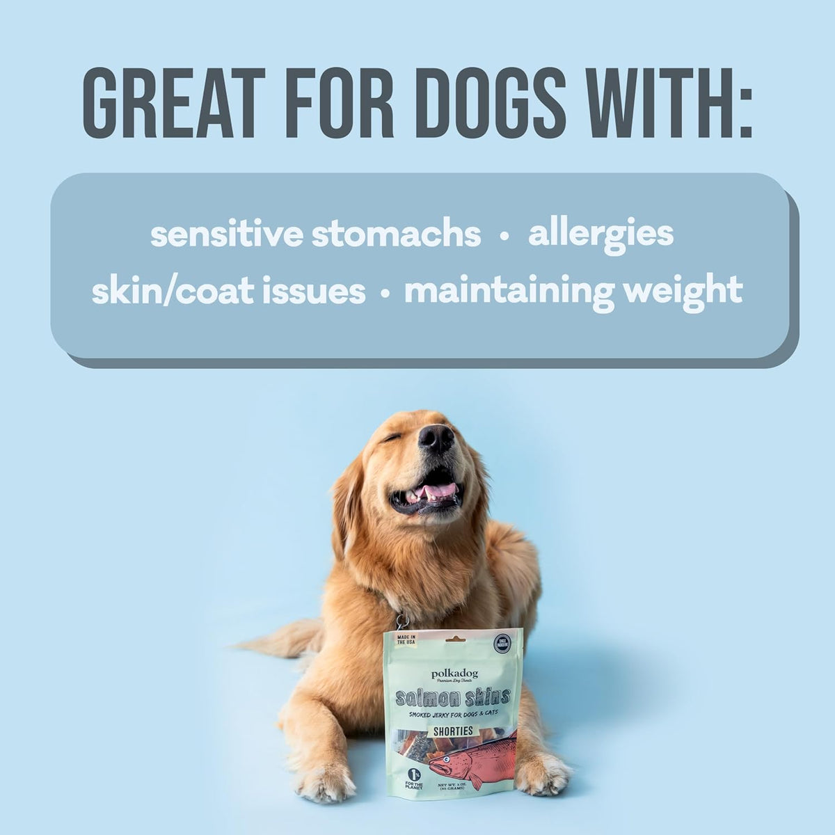 Salmon Skin Dog Treats, Single Ingredient, Omega-3 Rich, 3oz