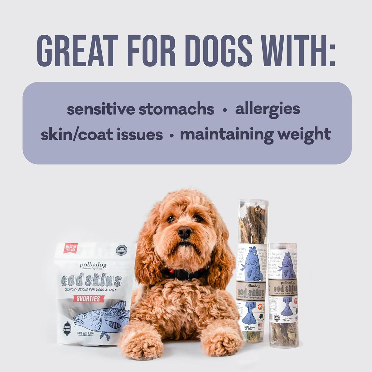 Salmon Skin Dog Treats, Single Ingredient, Omega-3 Rich, 3oz