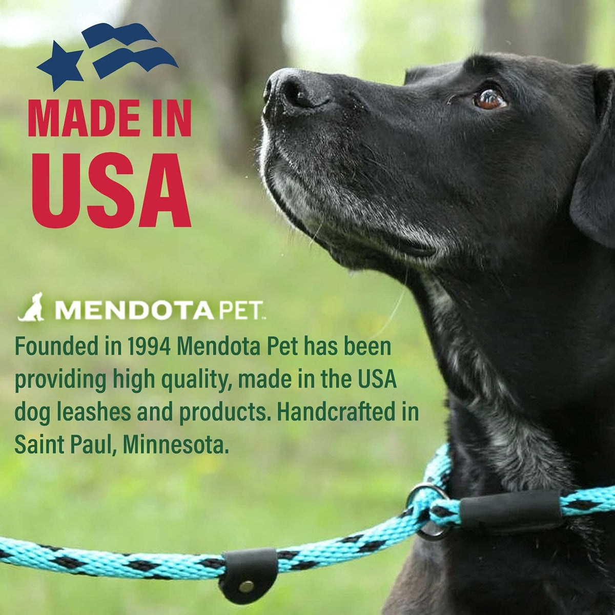 Slip Leash - Dog Lead and Collar Combo - Made in The USA - for Small/Medium Breeds - Black, 3/8 in x 6 ft