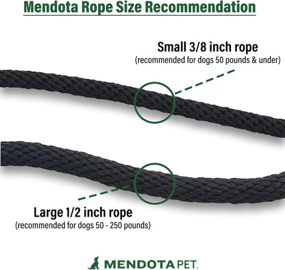 Slip Leash - Dog Lead and Collar Combo - Made in The USA - for Small/Medium Breeds - Black, 3/8 in x 6 ft