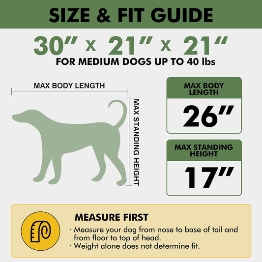 30 x 21 x 21 in 4-Door Collapsible Soft-Sided Mesh Dog Crate, Green